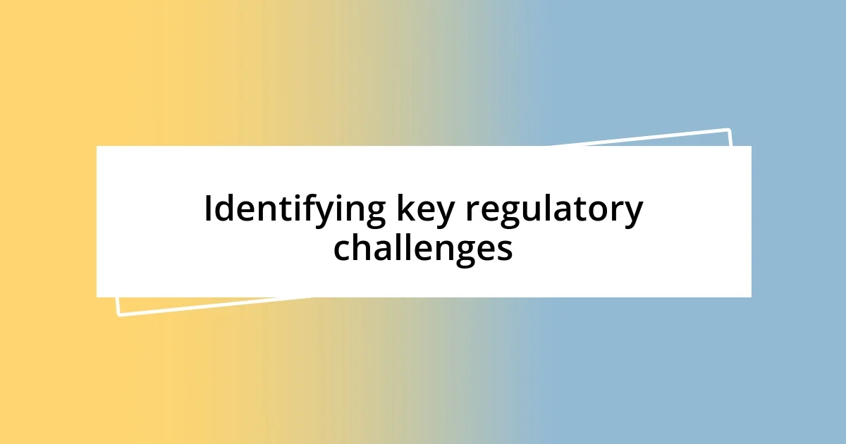 Identifying key regulatory challenges