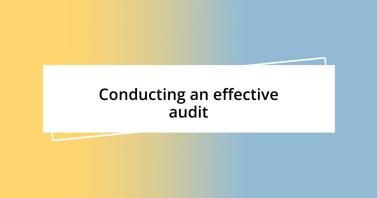 Conducting an effective audit